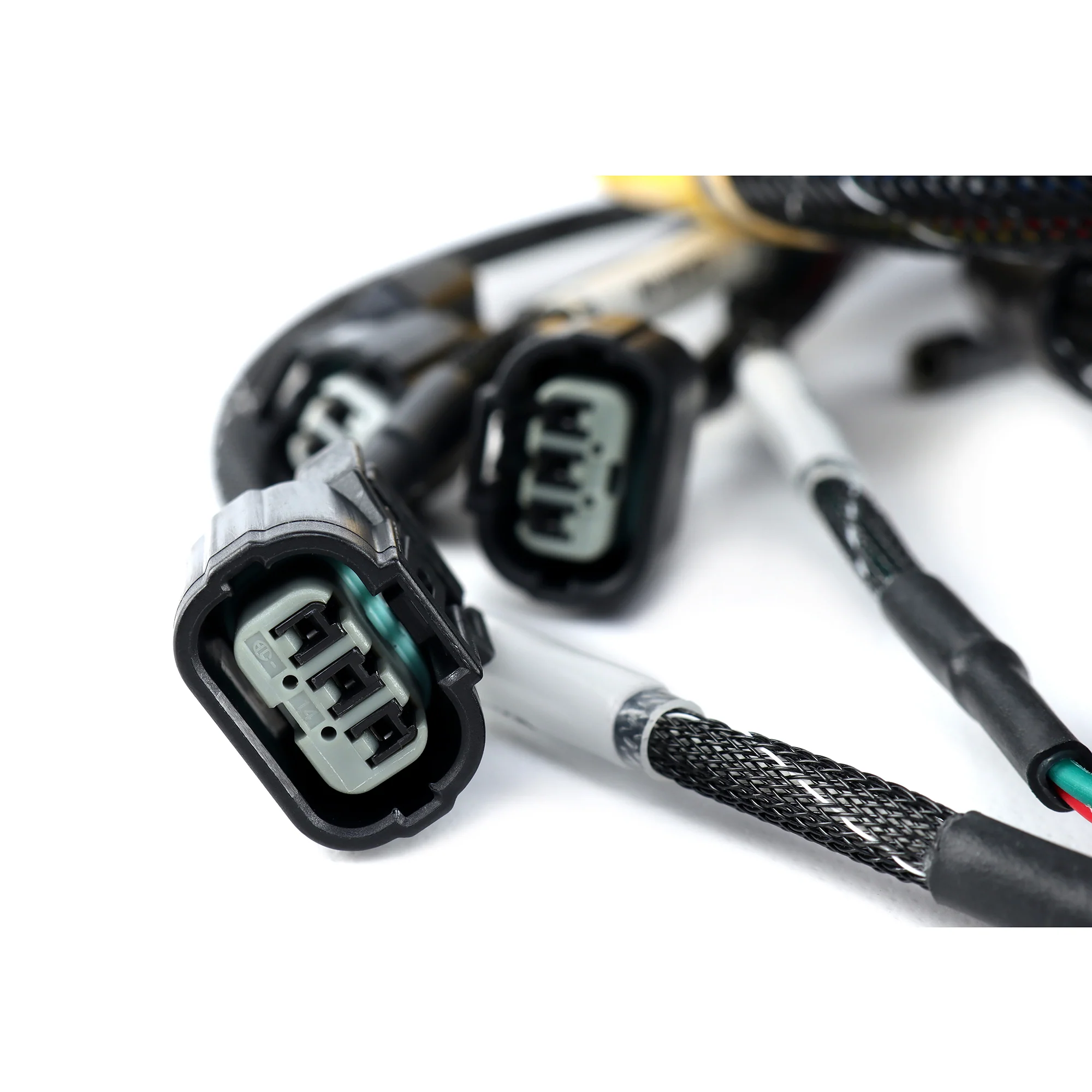 Rywire K-Series RWD Engine Harness - Image 3