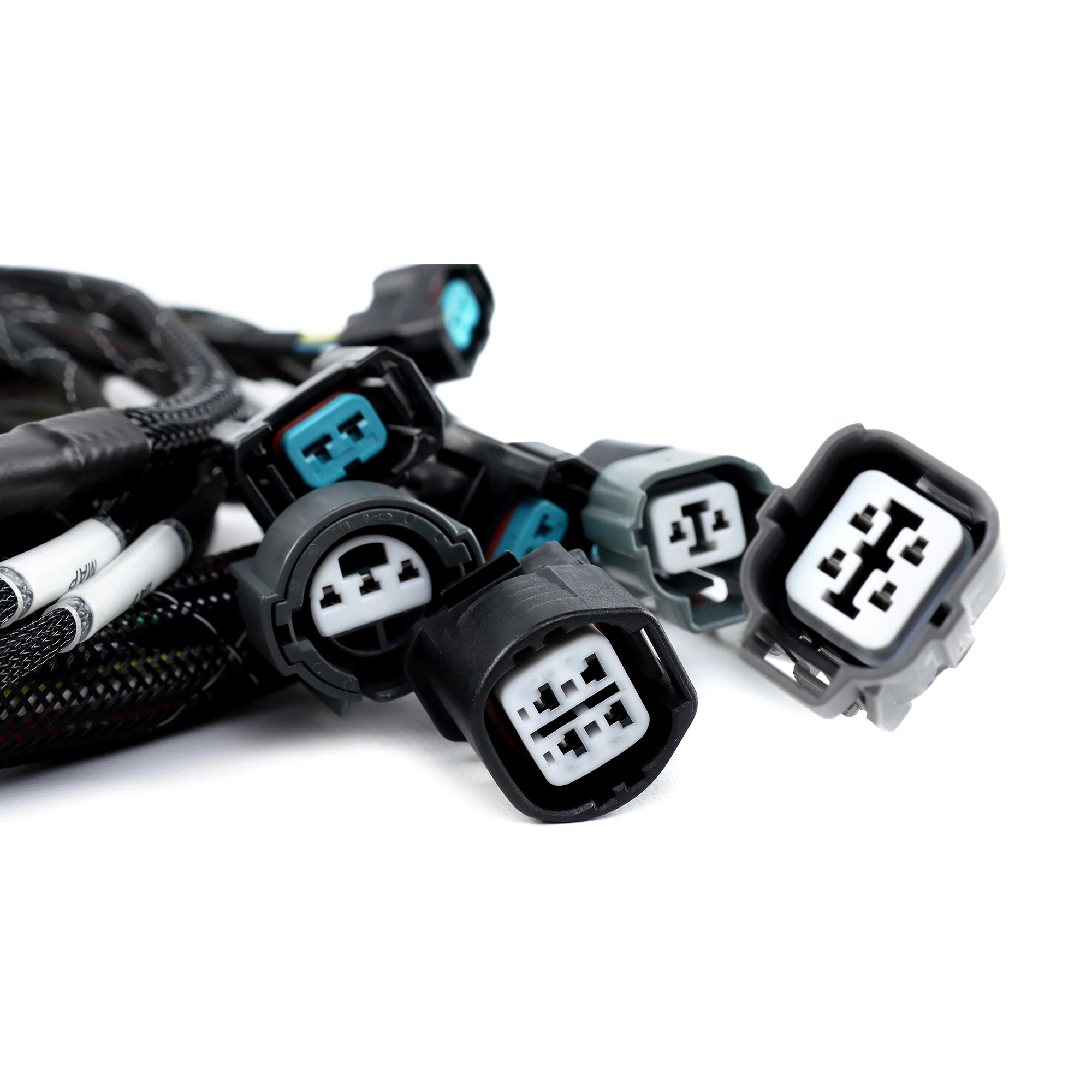 Rywire K-Series RWD Engine Harness - Image 5