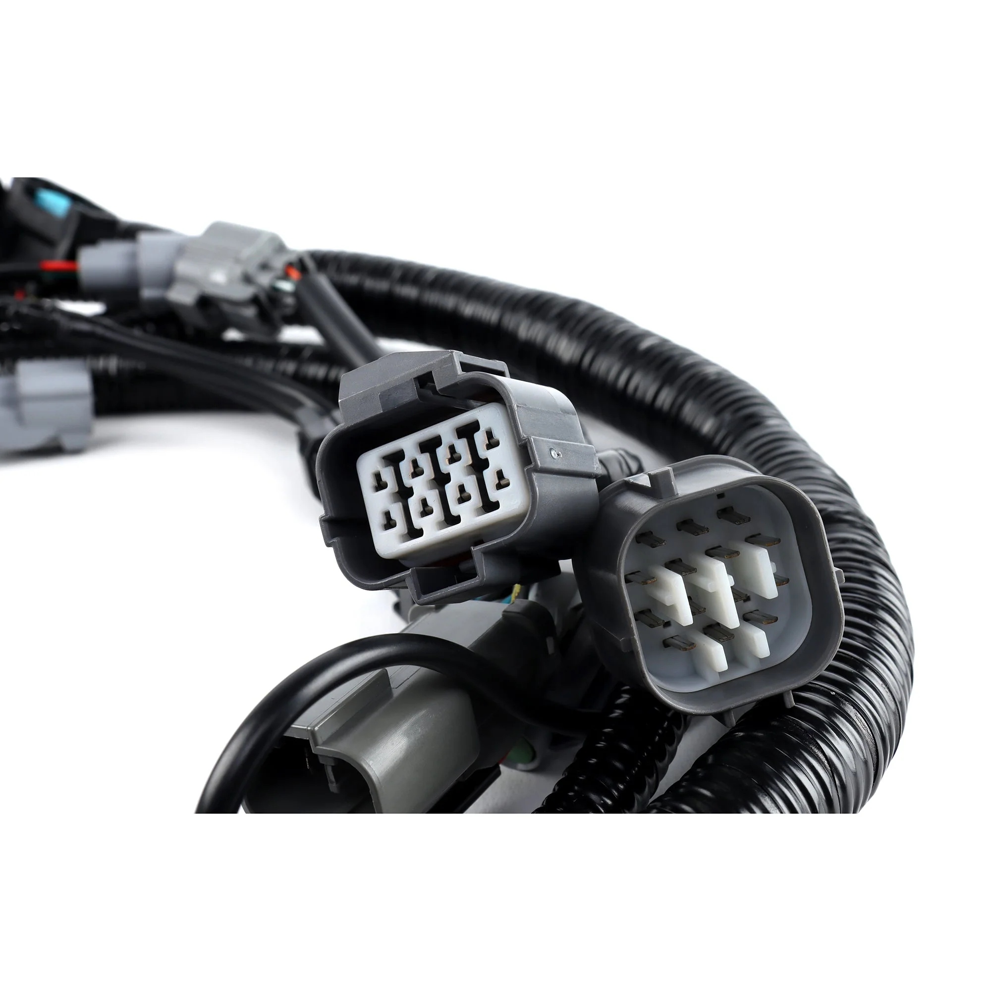 Rywire LHD EG/DC B Series OEM Replacement Engine Harness - Image 3