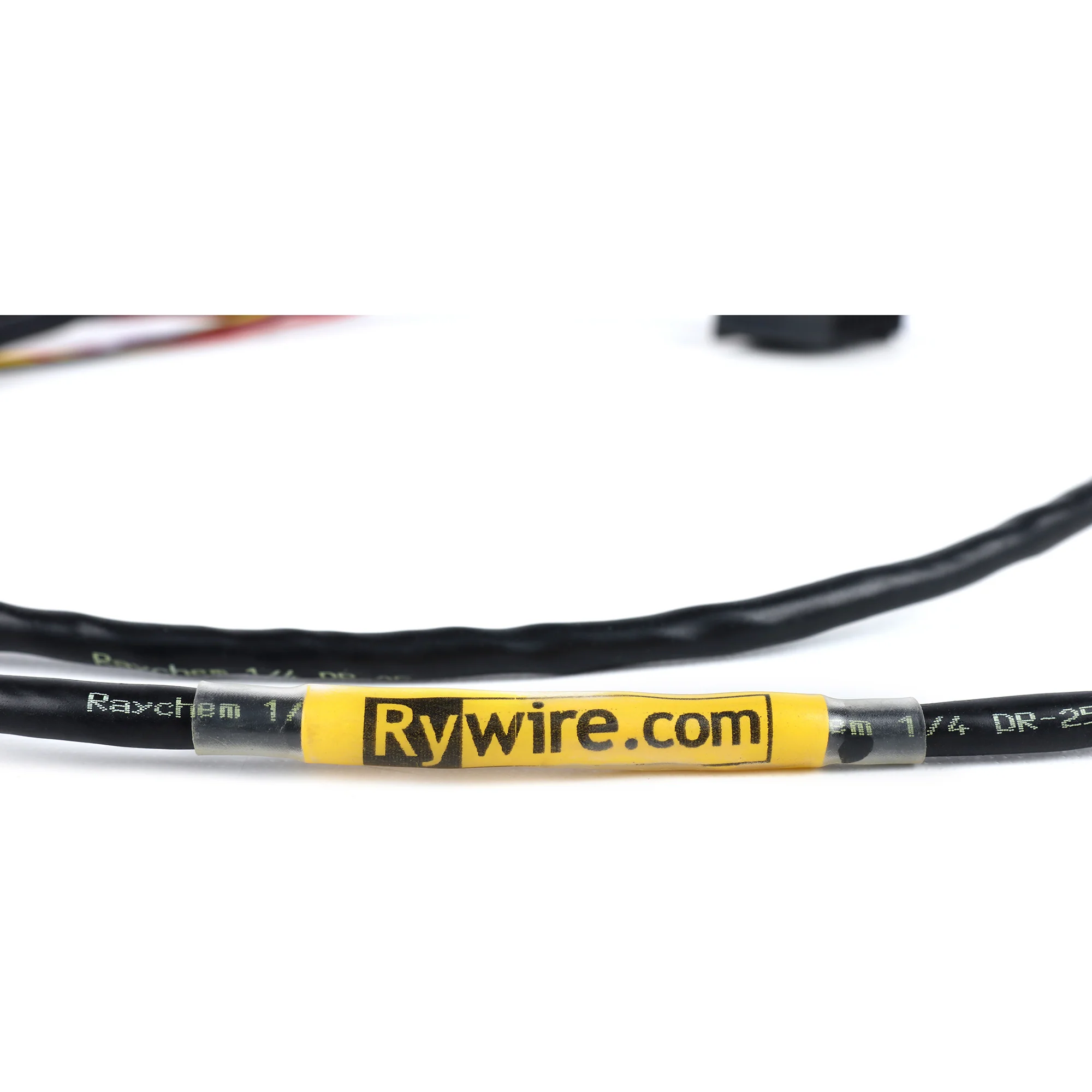 Rywire Mil-Spec Hondata Coil Plug Retrofit Harness - Image 3